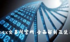 Bitfinex交易所官网：全面解